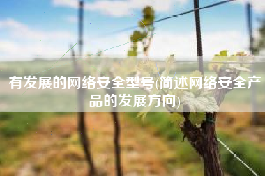 有发展的网络安全型号(简述网络安全产品的发展方向)