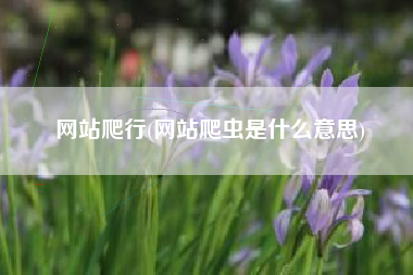 网站爬行(网站爬虫是什么意思)