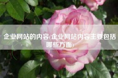 企业网站的内容(企业网站内容主要包括哪些方面)