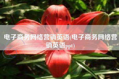 电子商务网络营销英语(电子商务网络营销英语ppt)