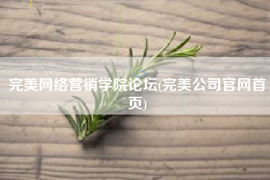 完美网络营销学院论坛(完美公司官网首页)
