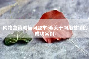 网络营销诚信问题举例(关于网络营销的成功案例)