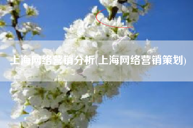 上海网络营销分析(上海网络营销策划)