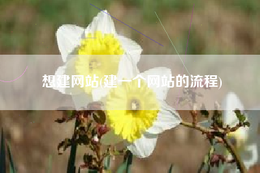想建网站(建一个网站的流程)
