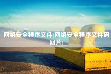 网络安全程序文件(网络安全程序文件码图片)