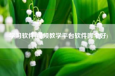 学习软件(视频教学平台软件哪个好)