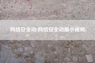 网络安全动(网络安全动画小视频)