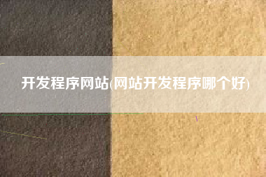开发程序网站(网站开发程序哪个好)