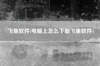 飞鱼软件(电脑上怎么下载飞鱼软件)