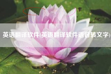 英语翻译软件(英语翻译软件语音转文字)