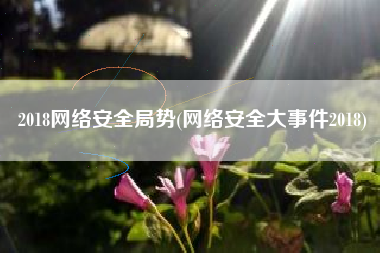 2018网络安全局势(网络安全大事件2018)