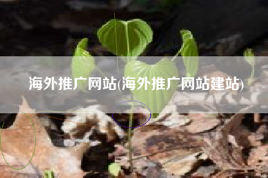 海外推广网站(海外推广网站建站)
