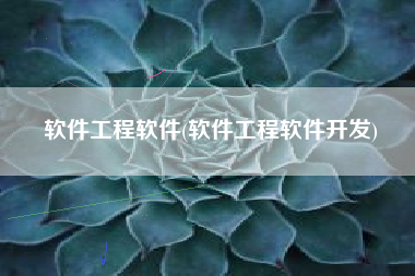 软件工程软件(软件工程软件开发)