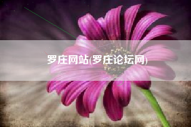 罗庄网站(罗庄论坛网)