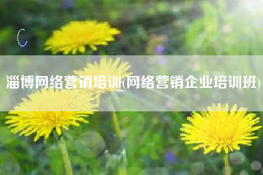 淄博网络营销培训(网络营销企业培训班)