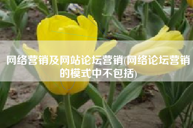 网络营销及网站论坛营销(网络论坛营销的模式中不包括)