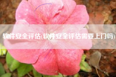 软件安全评估(软件安全评估需要上门吗)