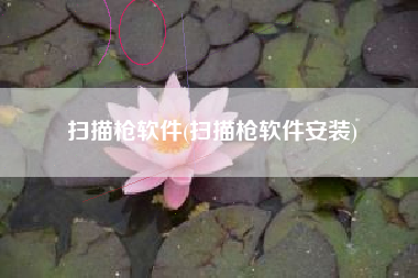 扫描枪软件(扫描枪软件安装)
