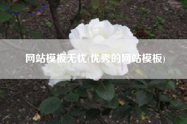 网站模板无忧(优秀的网站模板)