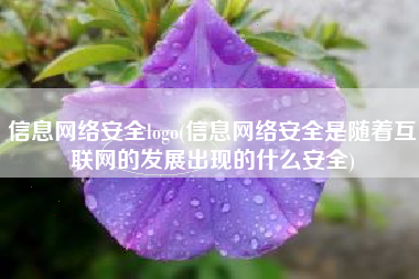 信息网络安全logo(信息网络安全是随着互联网的发展出现的什么安全)