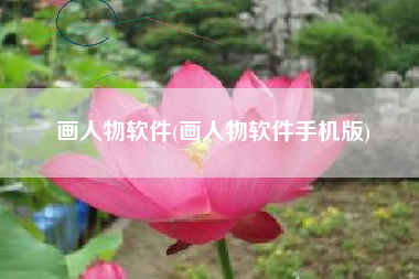 画人物软件(画人物软件手机版)