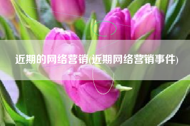 近期的网络营销(近期网络营销事件)