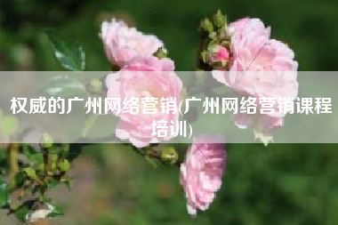 权威的广州网络营销(广州网络营销课程培训)