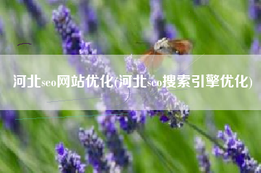 河北seo网站优化(河北seo搜索引擎优化)