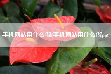手机网站用什么做(手机网站用什么做ppt)