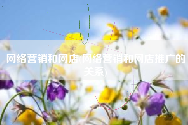 网络营销和网店(网络营销和网店推广的关系)