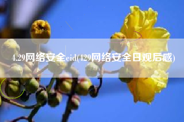 4.29网络安全eid(429网络安全日观后感)