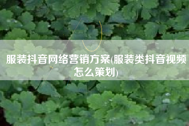 服装抖音网络营销方案(服装类抖音视频怎么策划)