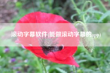 滚动字幕软件(能做滚动字幕的app)