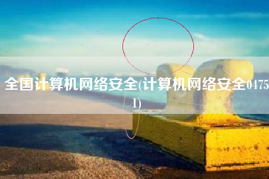 全国计算机网络安全(计算机网络安全04751)