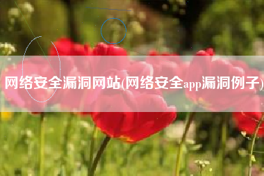 网络安全漏洞网站(网络安全app漏洞例子)