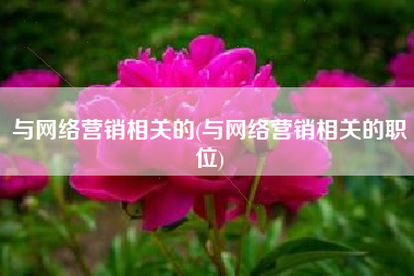 与网络营销相关的(与网络营销相关的职位)