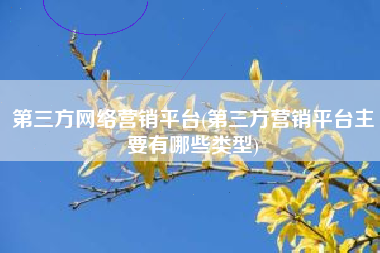 第三方网络营销平台(第三方营销平台主要有哪些类型)