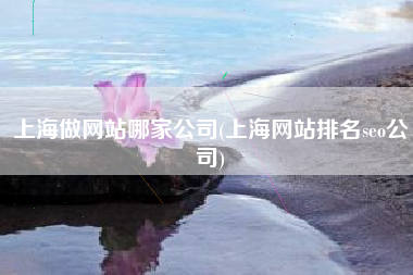 上海做网站哪家公司(上海网站排名seo公司)