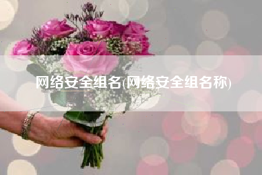 网络安全组名(网络安全组名称)