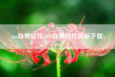 ios自带软件(iOS自带软件图标下载)