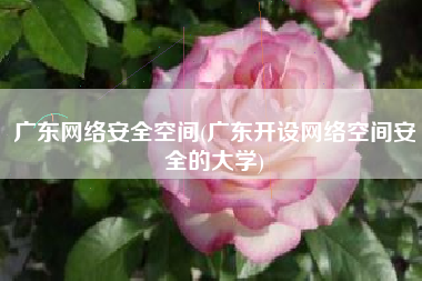 广东网络安全空间(广东开设网络空间安全的大学)