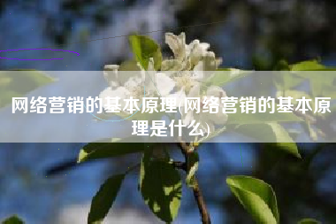 网络营销的基本原理(网络营销的基本原理是什么)