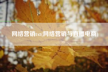 网络营销txt(网络营销与直播电商)