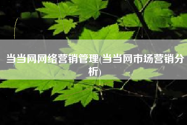 当当网网络营销管理(当当网市场营销分析)