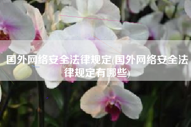 国外网络安全法律规定(国外网络安全法律规定有哪些)