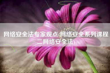 网络安全法专家观点(网络安全系列课程二网络安全法)