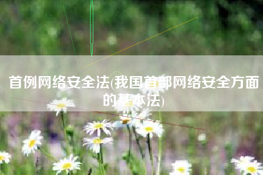 首例网络安全法(我国首部网络安全方面的基本法)