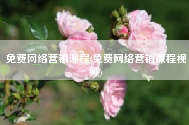 免费网络营销课程(免费网络营销课程视频)