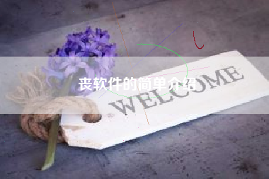 丧软件的简单介绍