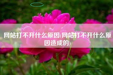 网站打不开什么原因(网站打不开什么原因造成的)